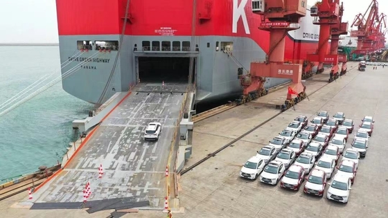 Επαγγελματική υπηρεσία ναυτιλίας RORO από την Κίνα στην Μαλαισία