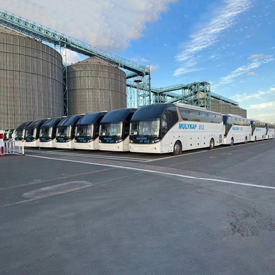 RORO Ναυτιλιακές γραμμές από την Κίνα στην Ινδονησία Επαγγελματικό Διεθνές Οργανισμό Μεταφορών